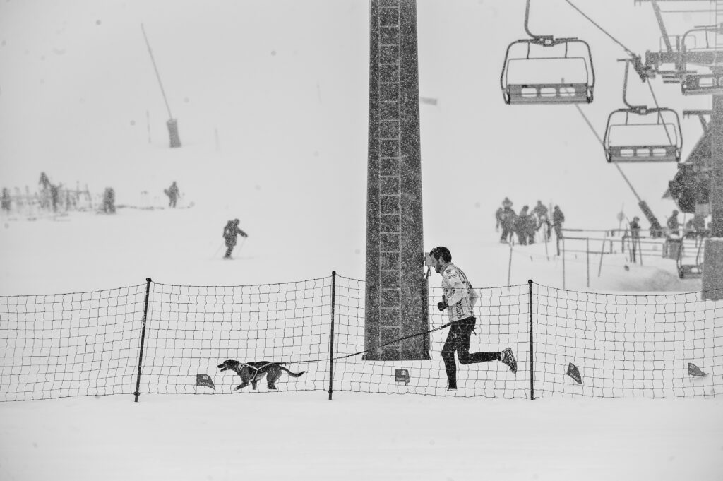 Corredor con su perro en la estación de esqui de Baqueira Veret campeonato de España